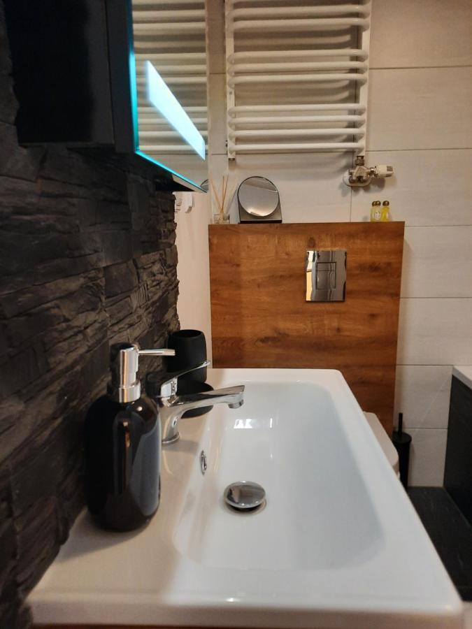 קרקוב Exclusive Art Apartment מראה חיצוני תמונה