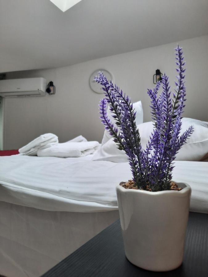 קרקוב Exclusive Art Apartment מראה חיצוני תמונה